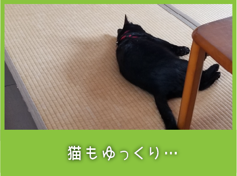 猫もゆっくり