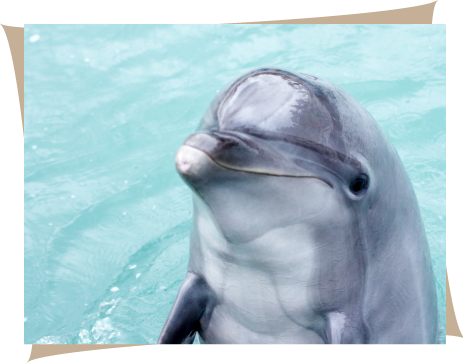 仙台うみの杜水族館