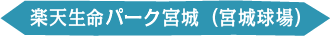 楽天生命パーク宮城（宮城球場）